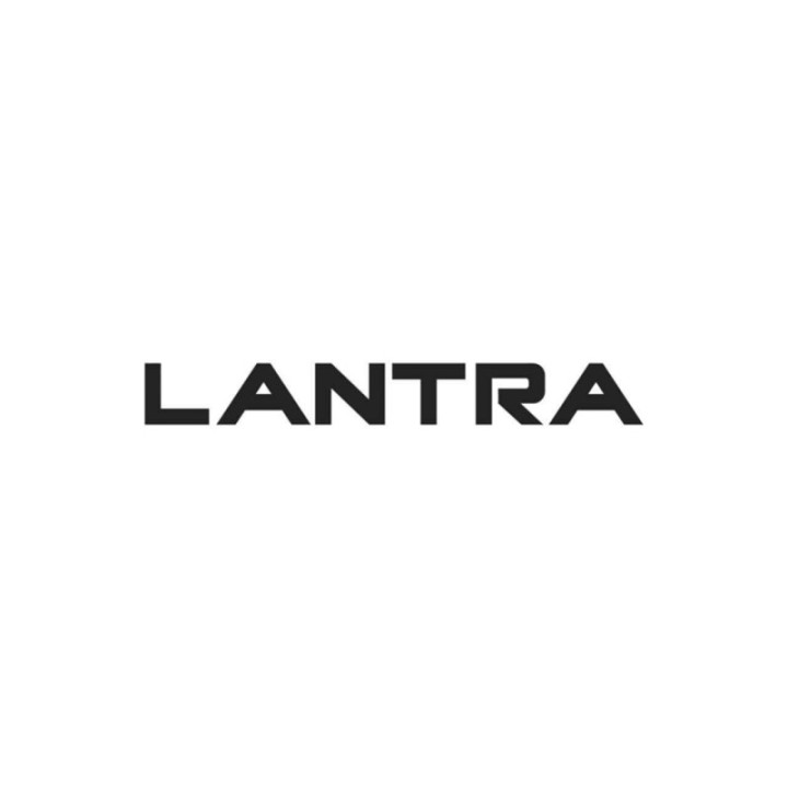 Buy Hyundai Lantra Vinyl Decal Sticker Online