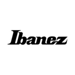 Ibanez Guitar Stickers – RG JEM S Series Decals (2-Pack)