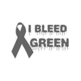 I Bleed Green Ribbon Stickers – Awareness Decals (2-Pack)