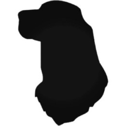 Buy Irish Setter Dog 1 Vinyl Decal Sticker Online