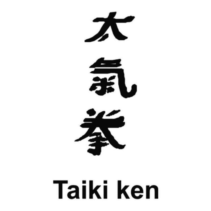 Taiki Ken Stickers – Kanji Taikiken Martial Arts Decals (2-Pack)
