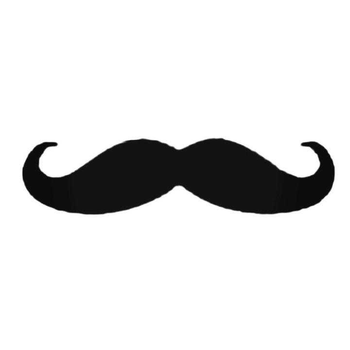 Moustache Stickers – Funny Novelty Decals (2-Pack)