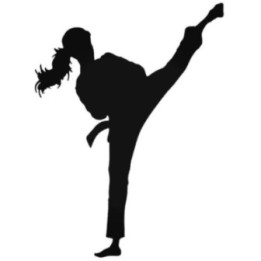 Karate Girl High Kick Stickers – Martial Arts Decals (2-Pack)
