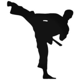 Karate Stickers – Karateka High Kick Decals (2-Pack)