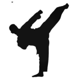 Martial Arts High Kick Stickers – Karate Taekwondo (2-Pack)