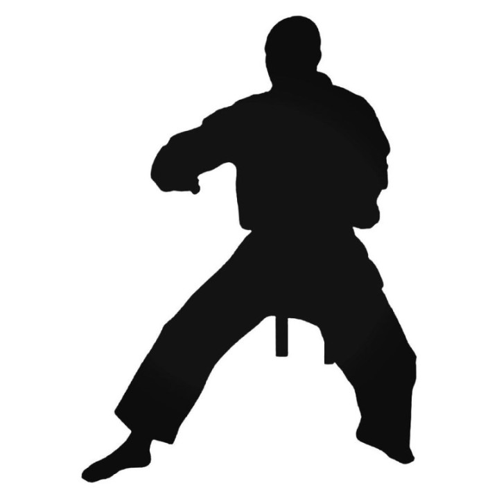 Karate Fighter Stickers – Martial Arts Decals (2-Pack)