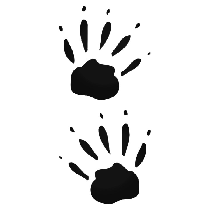 Buy Kinkajou Paw Print Foot Track Decal Sticker Online