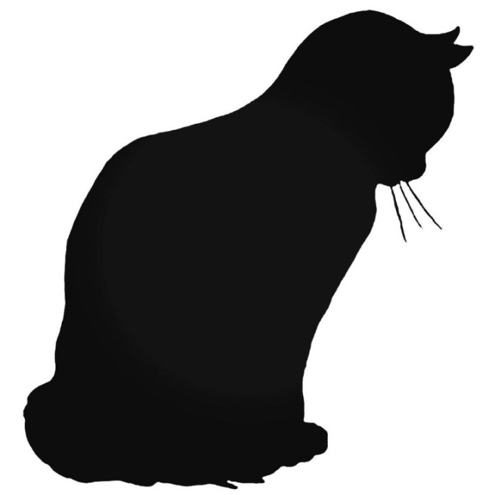 Buy Kitten Sad Decal Sticker Online