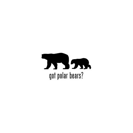 Bear Vinyl Decal Sticker V69 - DecalsHouse