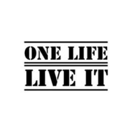 Buy Land Rover One Life Live It Logo Vinyl Decal Sticker Online