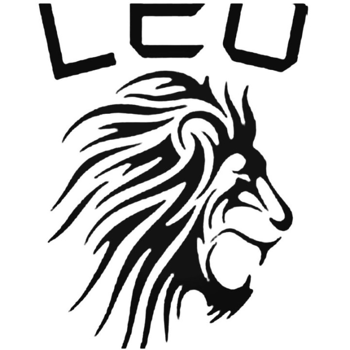 Leo Zodiac Stickers – Lion Star Sign Decals (2-Pack)