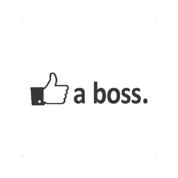 Buy Like A Boss Racing Drifting Turbo Tuner Decal Online