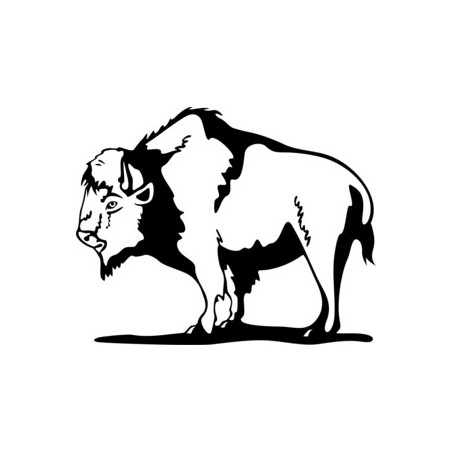 Buffalo Vinyl Decal Sticker V2 - DecalsHouse