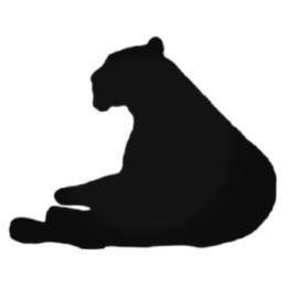 Buy Lioness Laying Down Decal Sticker Online