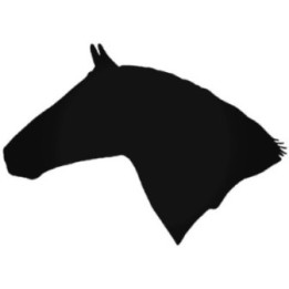 Lipizzan Horse Stickers – Dressage Decals (2-Pack)