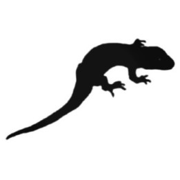 Buy Lizard Gecko With Sharp Claws Decal Sticker Online