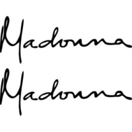 Madonna Stickers – Like a Virgin Music Decals (2-Pack)