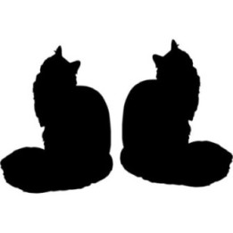 Buy Maine Coon Cat Vinyl Decal Sticker Online