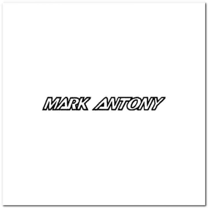 Marc Anthony Stickers – Salsa Latin Pop Decals (2-Pack)
