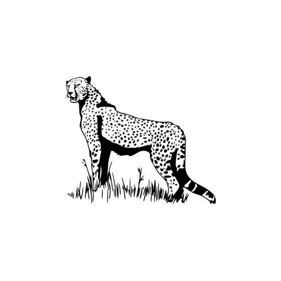 Cheetah Vinyl Decal Sticker