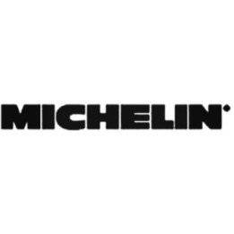 Buy Michelin Vinyl Decal Online
