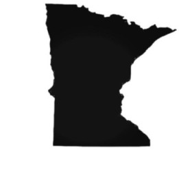 Buy Minnesota Mn State Decal Sticker Online