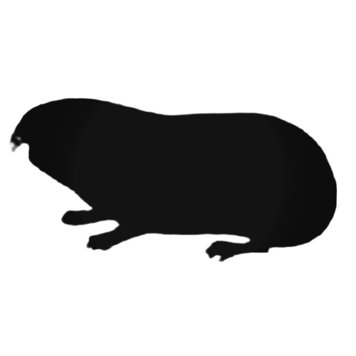 Buy Mole Decal Sticker Online