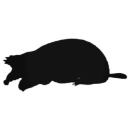 Buy Mole With Big Nose Decal Sticker Online