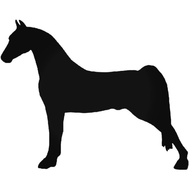 Morgan Horse Stickers – Equestrian Breed Decals (2-Pack)