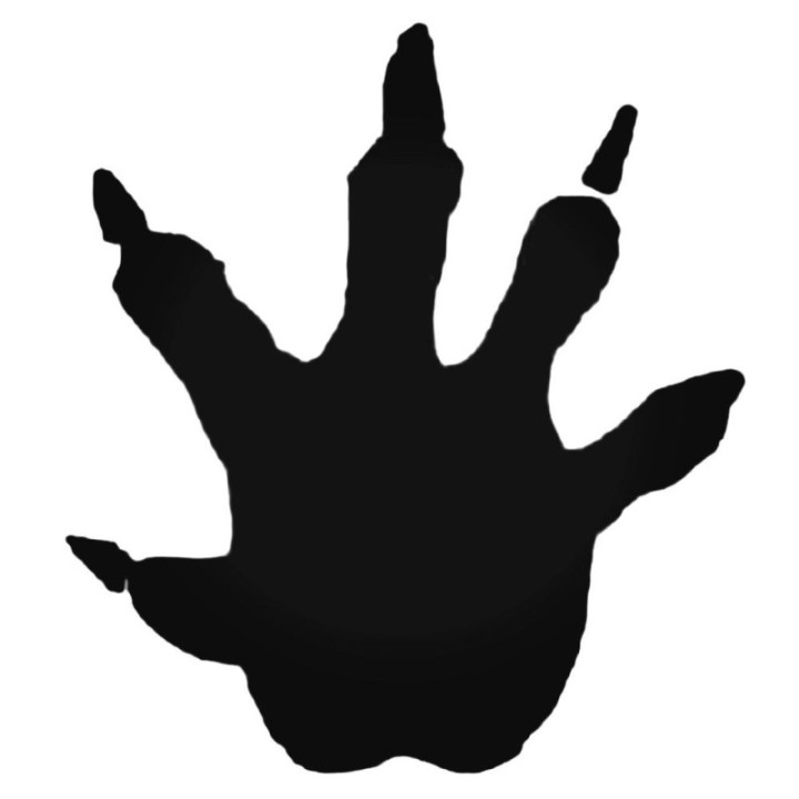 Buy Muskrat Paw Print Foot Track Decal Sticker Online