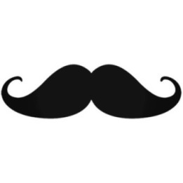 Moustache Stickers – Movember Funny Mo Decals (2-Pack)