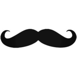 Moustache Stickers – Funny Bumper Lip Decals (2-Pack)