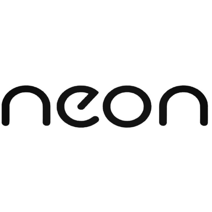 Buy Neon Graphic Decal Sticker Online