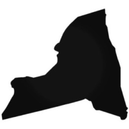 Buy New York Home State Decal Sticker Online