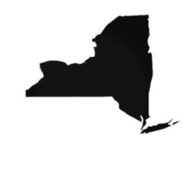 Buy New York Ny State Decal Sticker Online