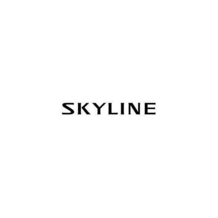 Buy Nissan Skyline Aftermarket Decal Sticker Online
