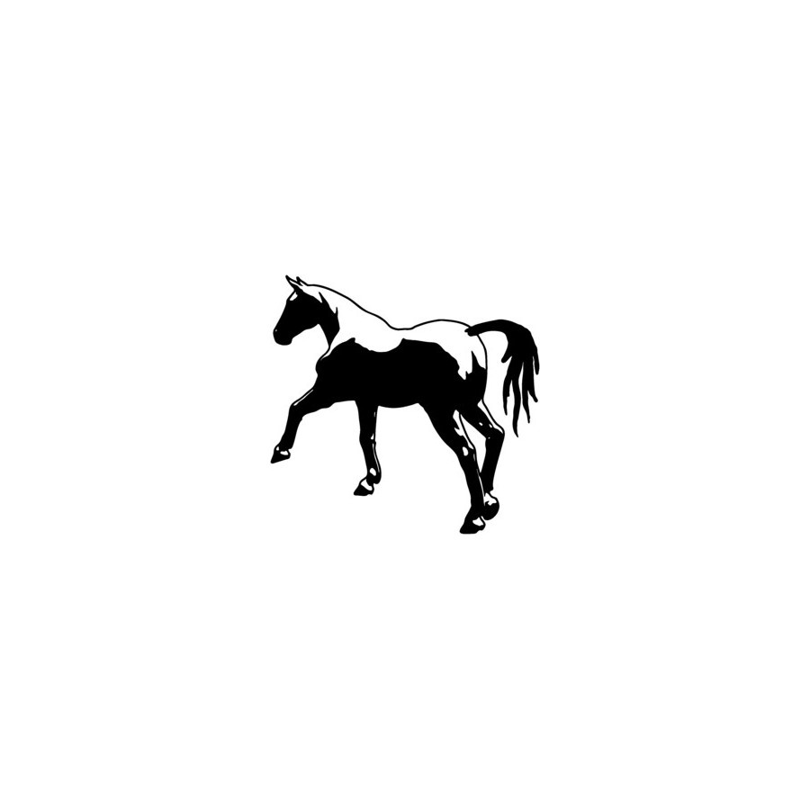 Horse Vinyl Decal Sticker V20 - DecalsHouse