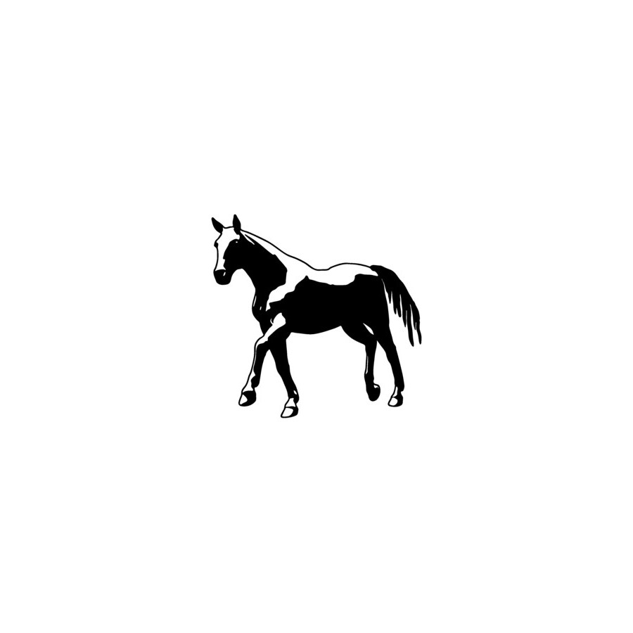 Horse Vinyl Decal Sticker V23 - DecalsHouse