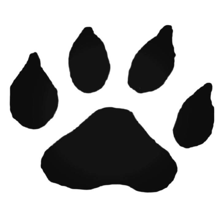Buy Ocelot Paw Print Foot Track Decal Sticker Online