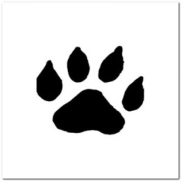 Buy Ocelot Paw Print Tracks Decal Sticker Online