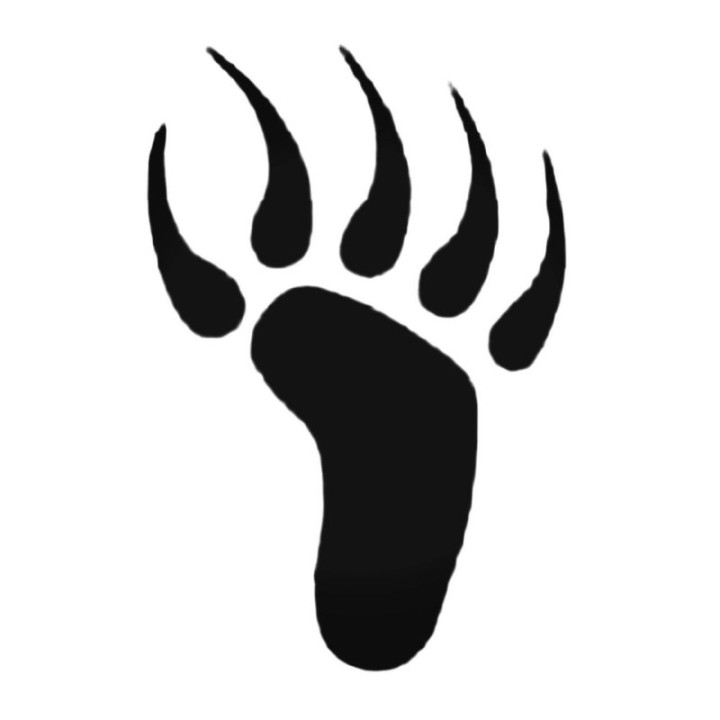 Buy Predator S Style 511 Decal Sticker Online