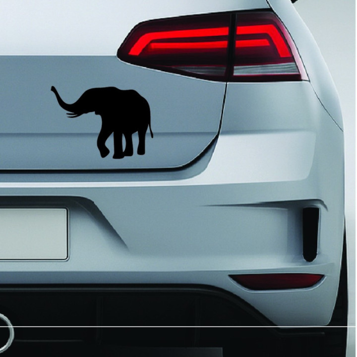 Buy African Elephant Online