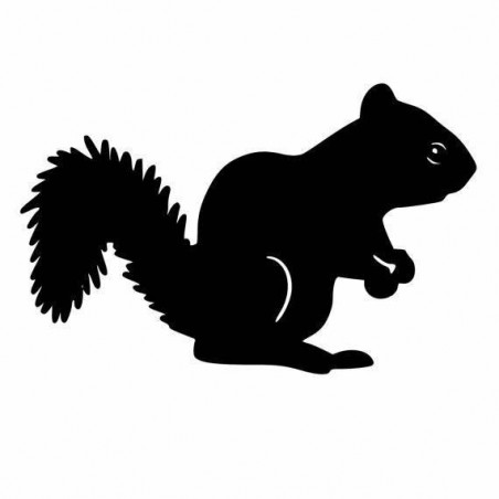 Squirrel Vinyl Decal Sticker V21 - DecalsHouse