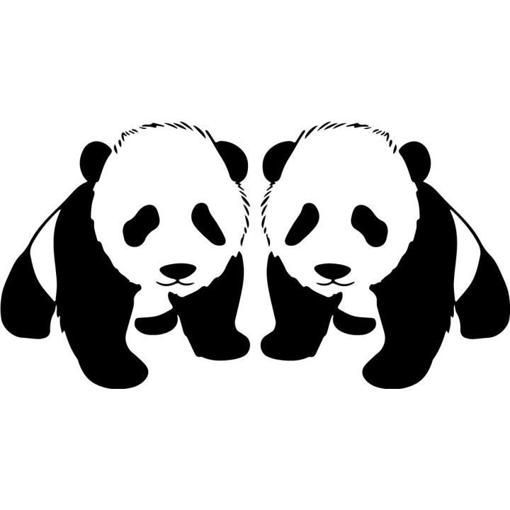 Buy Baby Panda Wildlfie Online