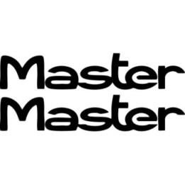 Renault Master Stickers – Commercial Van Campervan Fleet Decals (2-Pack)