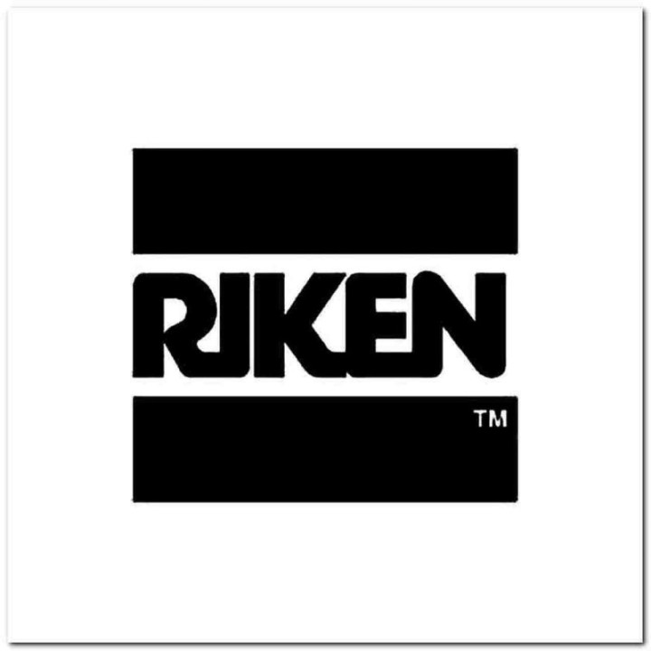 Buy Riken Vinyl Decal Online
