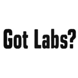 Got Labs? Labrador Stickers – Dog Quote Decals (2-Pack)