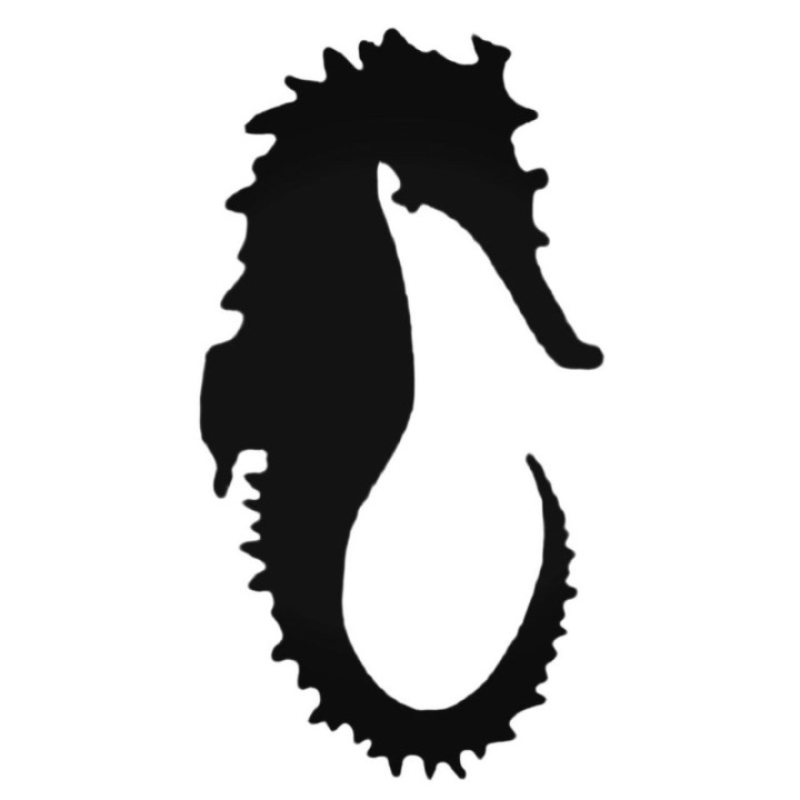 Seahorse Stickers – Marine Sea Life Decals (2-Pack)