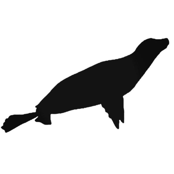 Sea Lion Stickers – Seal Silhouette Marine Decals (2-Pack)