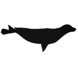 Seal Stickers – Sea Lion Silhouette Decals (2-Pack)